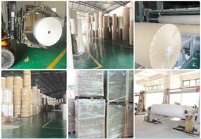 transfer paper factory04-12